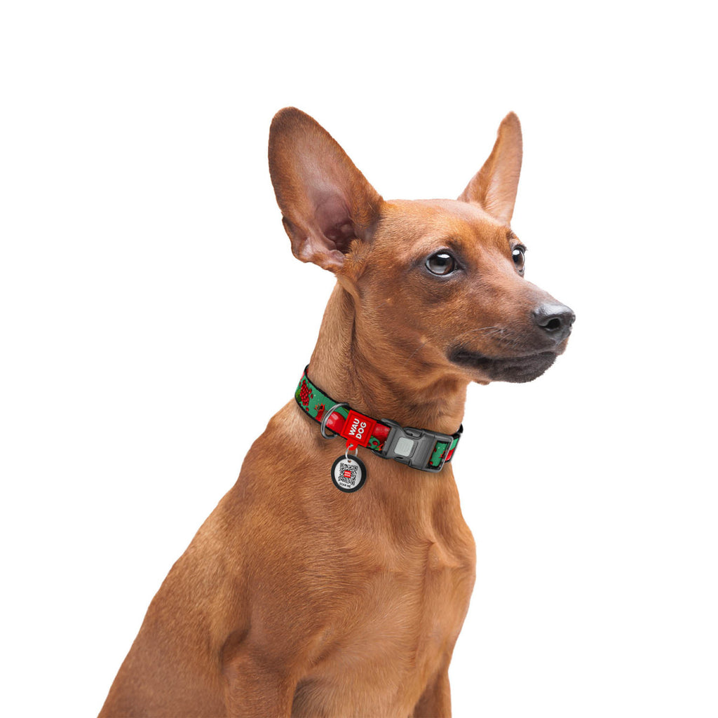 WAUDOG Nylon Dog Collar with QR Code, Grenades