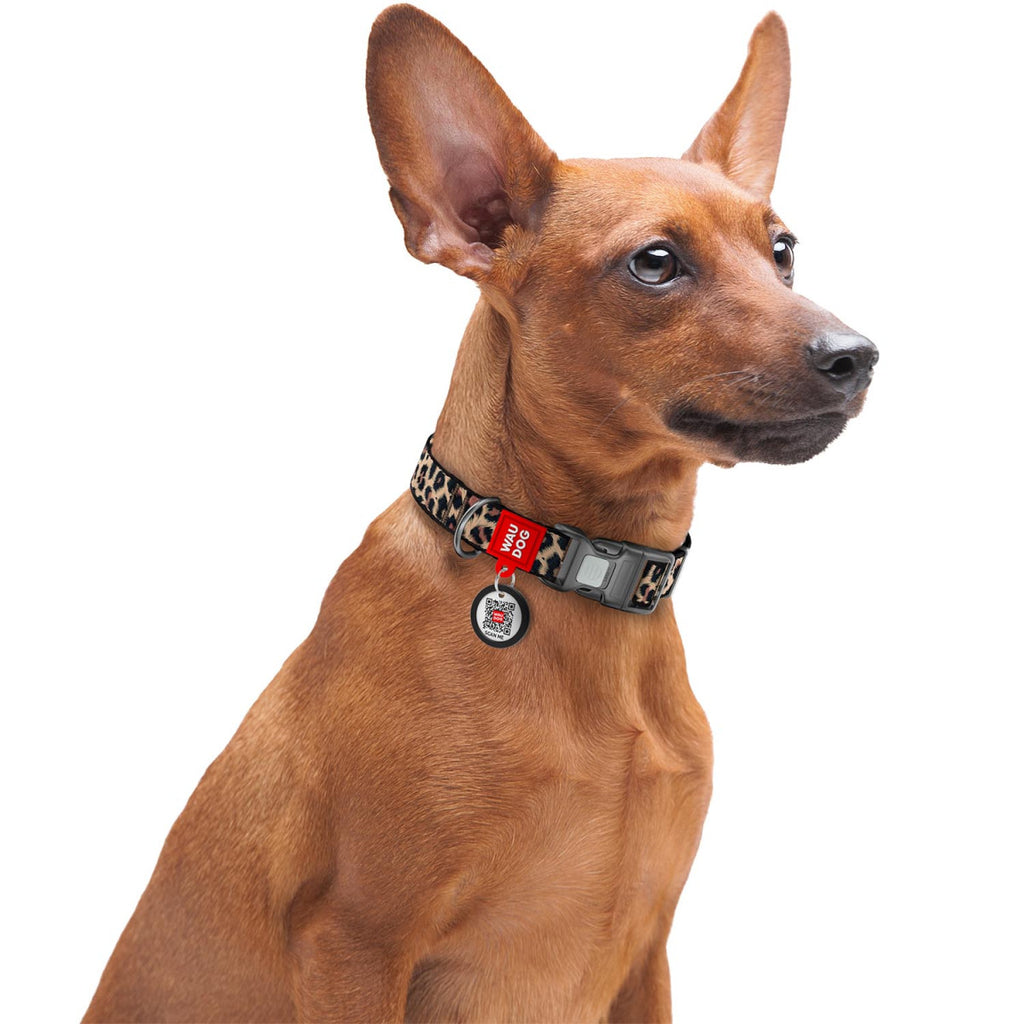 WAUDOG Nylon Dog Collar with QR Code, Leopard