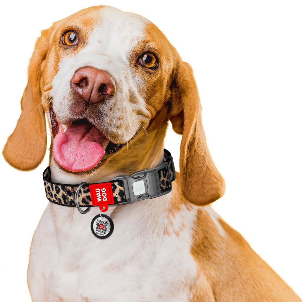 WAUDOG Nylon Dog Collar with QR Code, Leopard