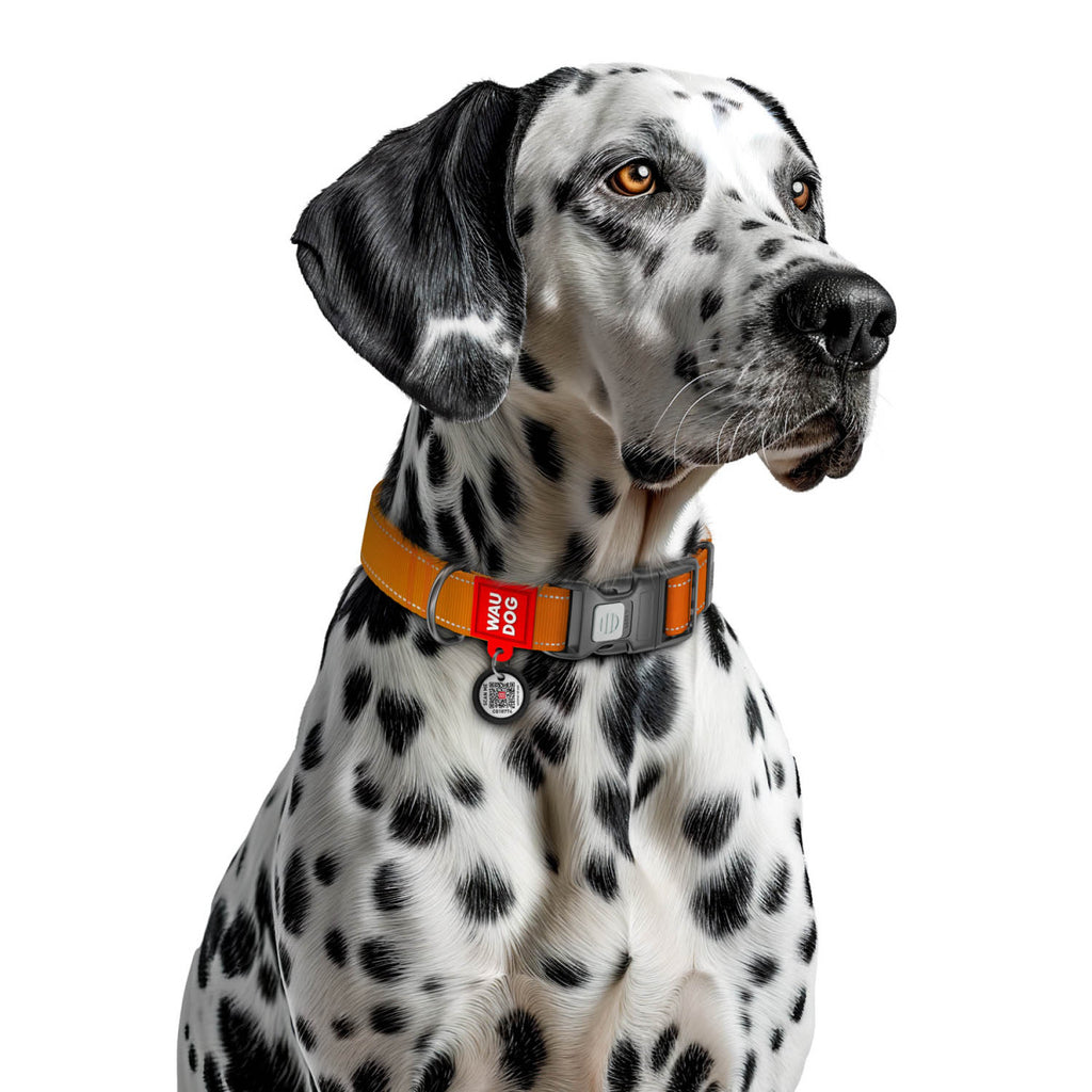 WAUDOG Nylon Mono Dog Collar with QR Code, Orange Pattern