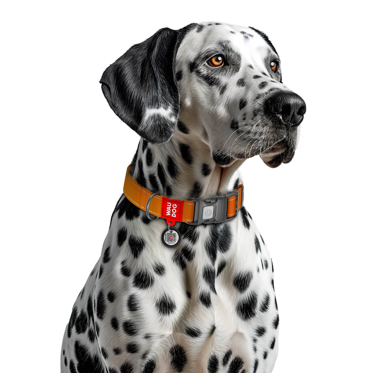 WAUDOG Nylon Mono Dog Collar with QR Code, Orange Pattern