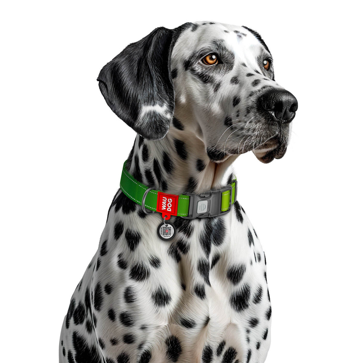 WAUDOG Nylon Mono Dog Collar with QR Code, Green Pattern