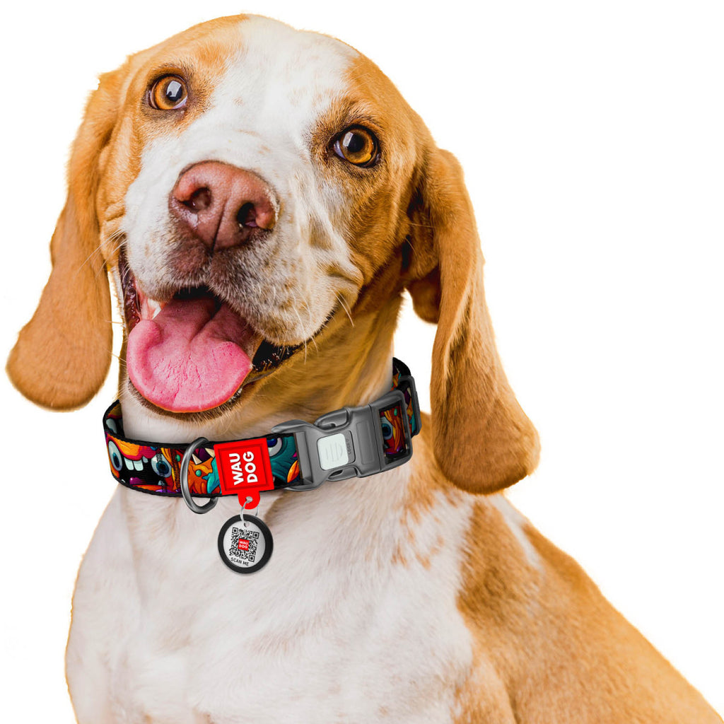 WAUDOG Nylon Dog Collar with QR Code, Toothy Monsters