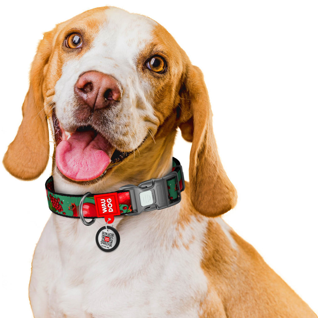 WAUDOG Nylon Dog Collar with QR Code, Grenades
