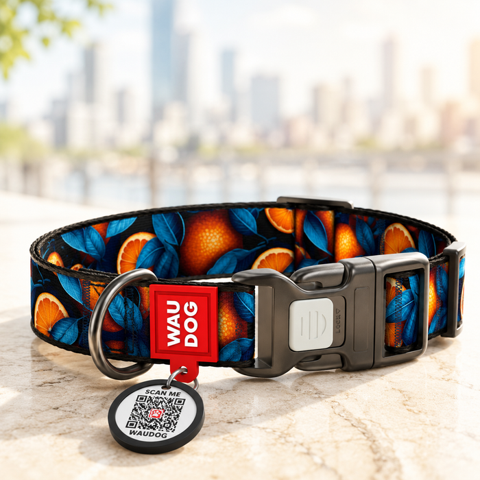 WAUDOG Nylon Dog Collar with QR Code, Orange Pattern