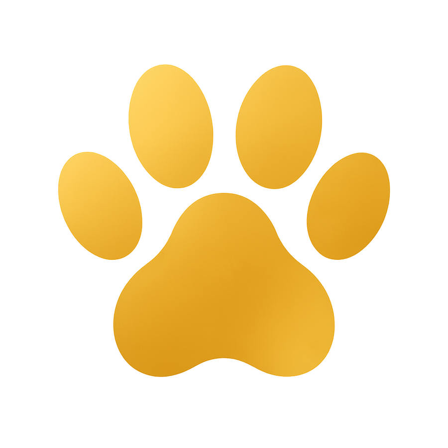 PurrDog lifestyle photo