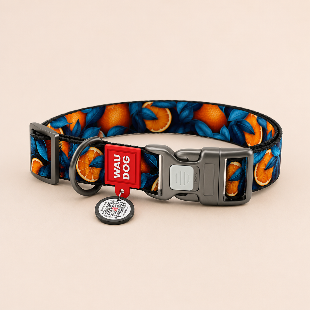 Dog collar with orange and leaf pattern on a beige background