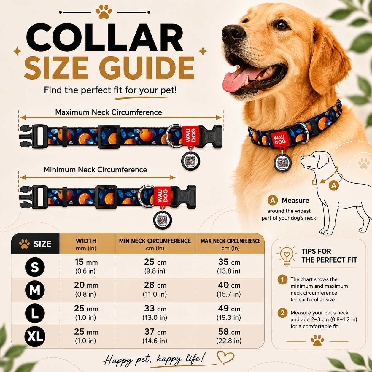 Dog collar size guide with a Golden Retriever wearing a collar, showing measurements and fitting instructions.